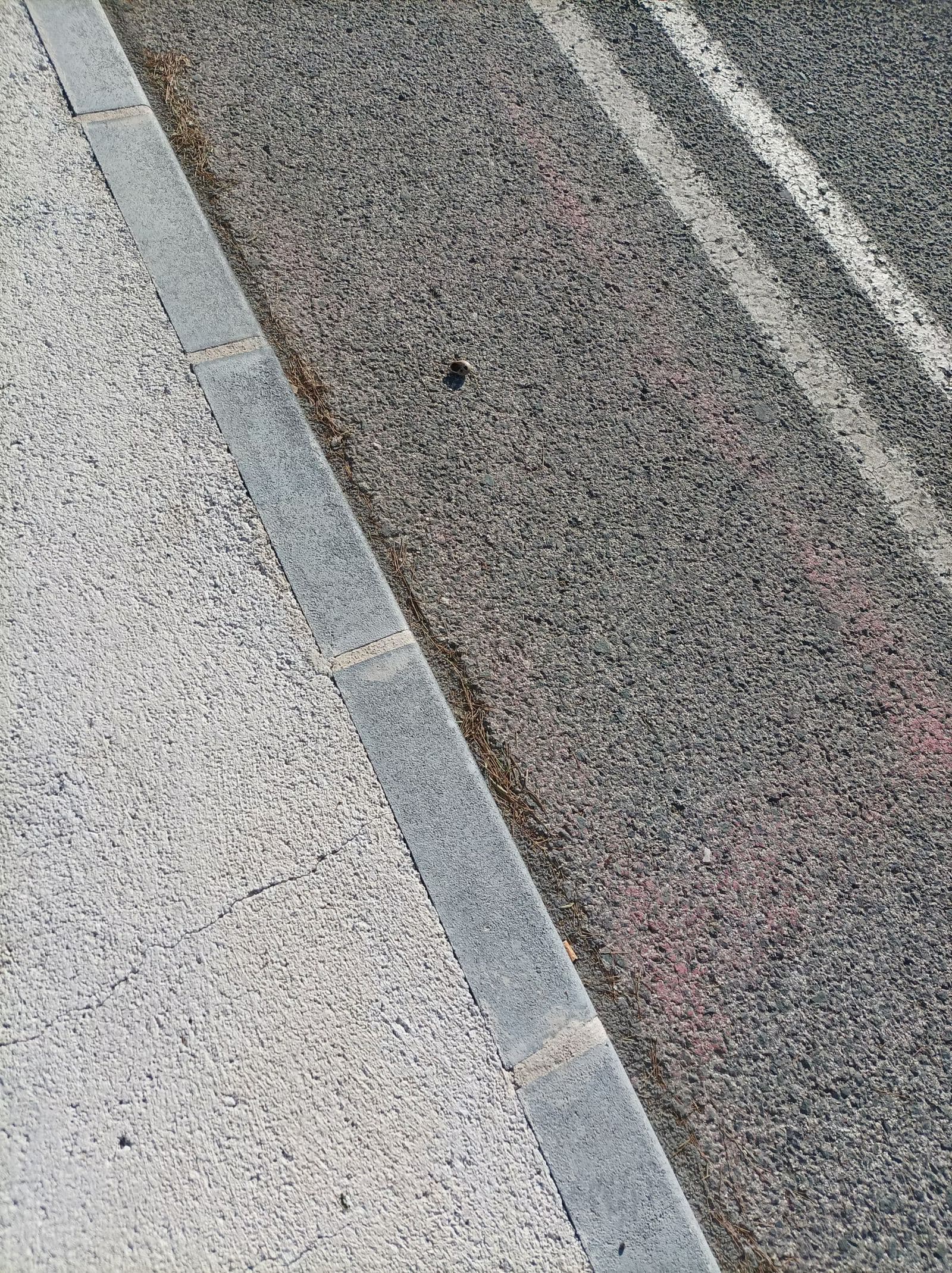 Concept photograph. A finished curb beside a sidewalk.