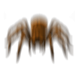 Tarantula