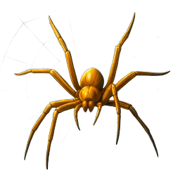 Spider