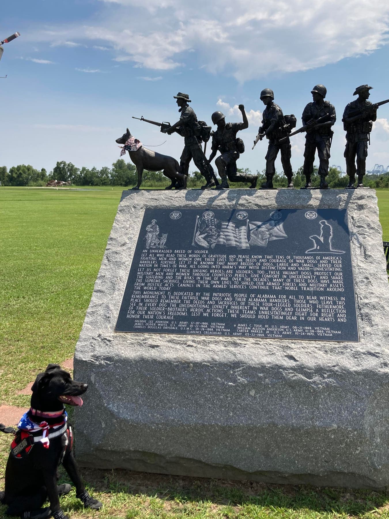 A Story Paws dog at a veterans memorial.
